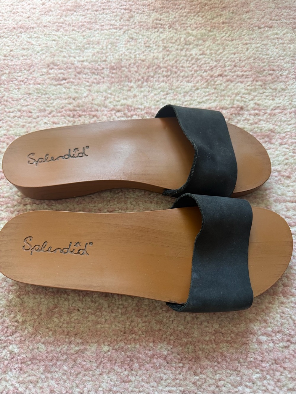 Splendid Black and Tan Slide Sandals for Women